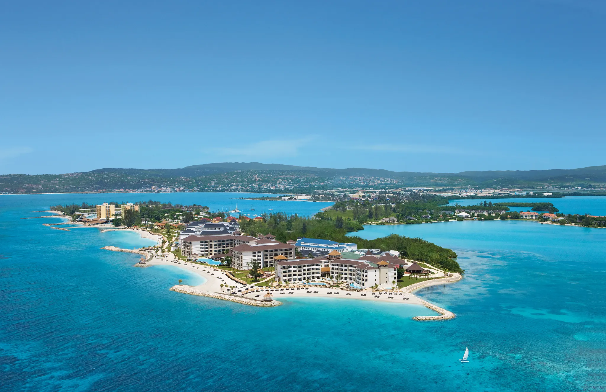 SECRETS WILD ORCHID